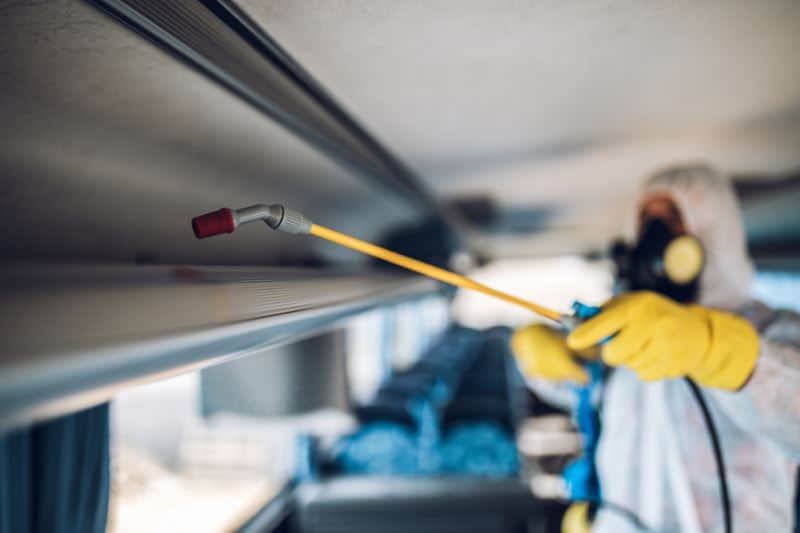 הדברת טרמיטים: שיטות וטיפים לטיפול בתופעה המציקה