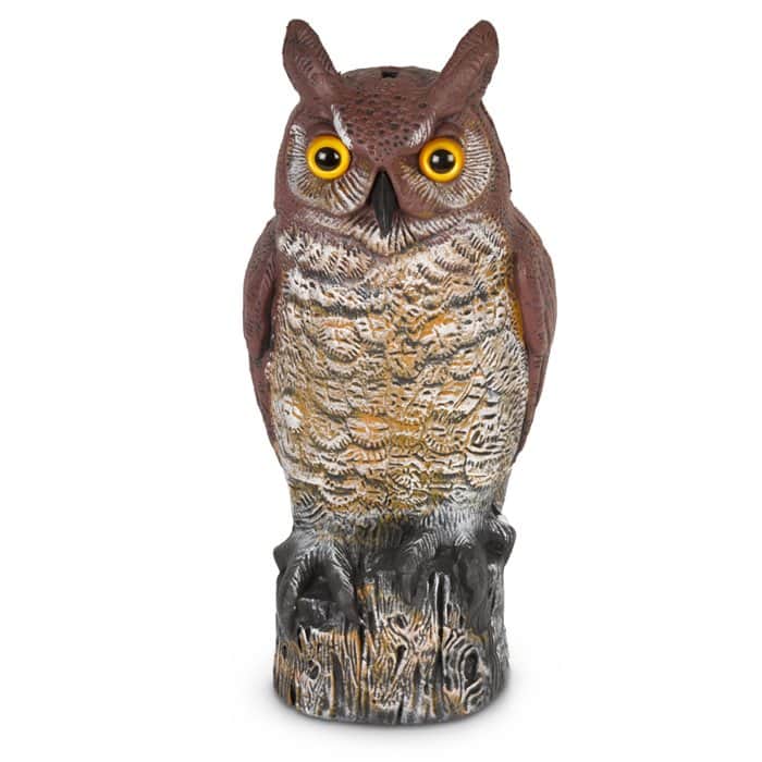 דחליל להרחקת יונים ינשוף יחידה אחת