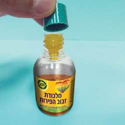 מלכודת לזבוב הפירות