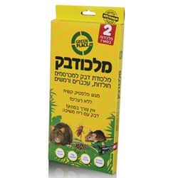 מלכודבק לעכברים