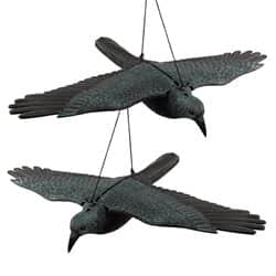 דחליל עורב פורש כנפיים -להרחקת יונים 2 יח'