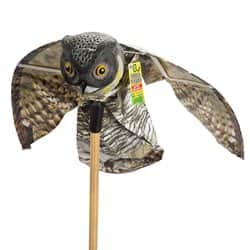 דחליל ינשוף פרוש כנפיים להרחקת יונים 1 יח'