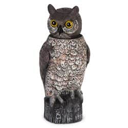 דחליל ינשוף ראש מסתובב להרחקת יונים