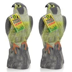 נץ להרחקת יונים - הדחליל המבהיל 2 יח'