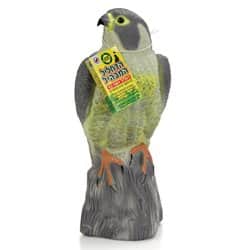 נץ להרחקת יונים - הדחליל המבהיל 1 יח'