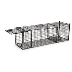 מלכודת חתולים שחורה