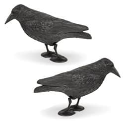 דחליל עורב להרחקת יונים 2 יחידות