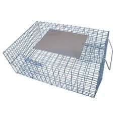 מלכודת דרורים הומנית