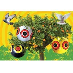 כדורי עיניים להברחת יונים