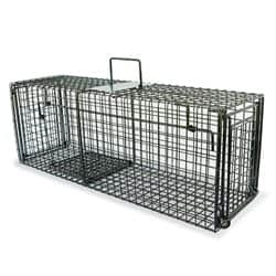 מלכודת חתולים הומנית שחורה גדולה